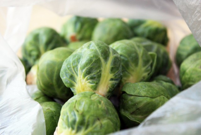 Brussel-Sprouts
